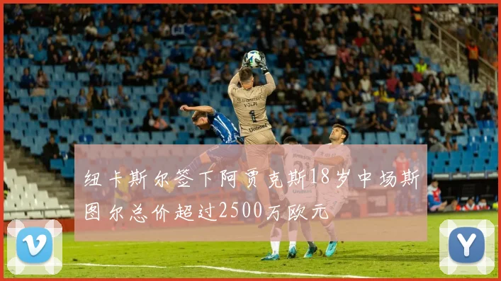 纽卡斯尔签下阿贾克斯18岁中场斯图尔总价超过2500万欧元