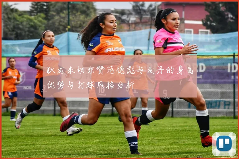 狄龙米切尔赞范德彪与麦丹的身高优势与打球风格分析